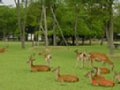 DSC00030.JPG
