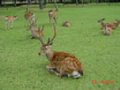 DSC00031.JPG