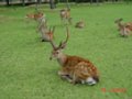 DSC00032.JPG
