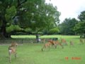 DSC00033.JPG