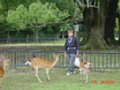DSC00035.JPG