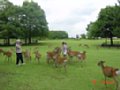 DSC00036.JPG