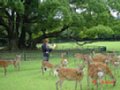 DSC00037.JPG