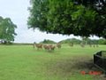 DSC00038.JPG