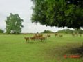 DSC00039.JPG