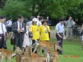 DSC00041.JPG
