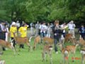 DSC00042.JPG