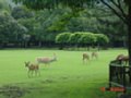 DSC00043.JPG