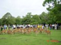 DSC00044.JPG