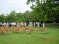 DSC00045.JPG