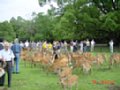DSC00048.JPG