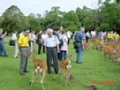 DSC00049.JPG