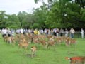DSC00050.JPG
