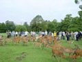 DSC00051.JPG