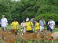 DSC00052.JPG