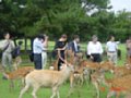 DSC00053.JPG